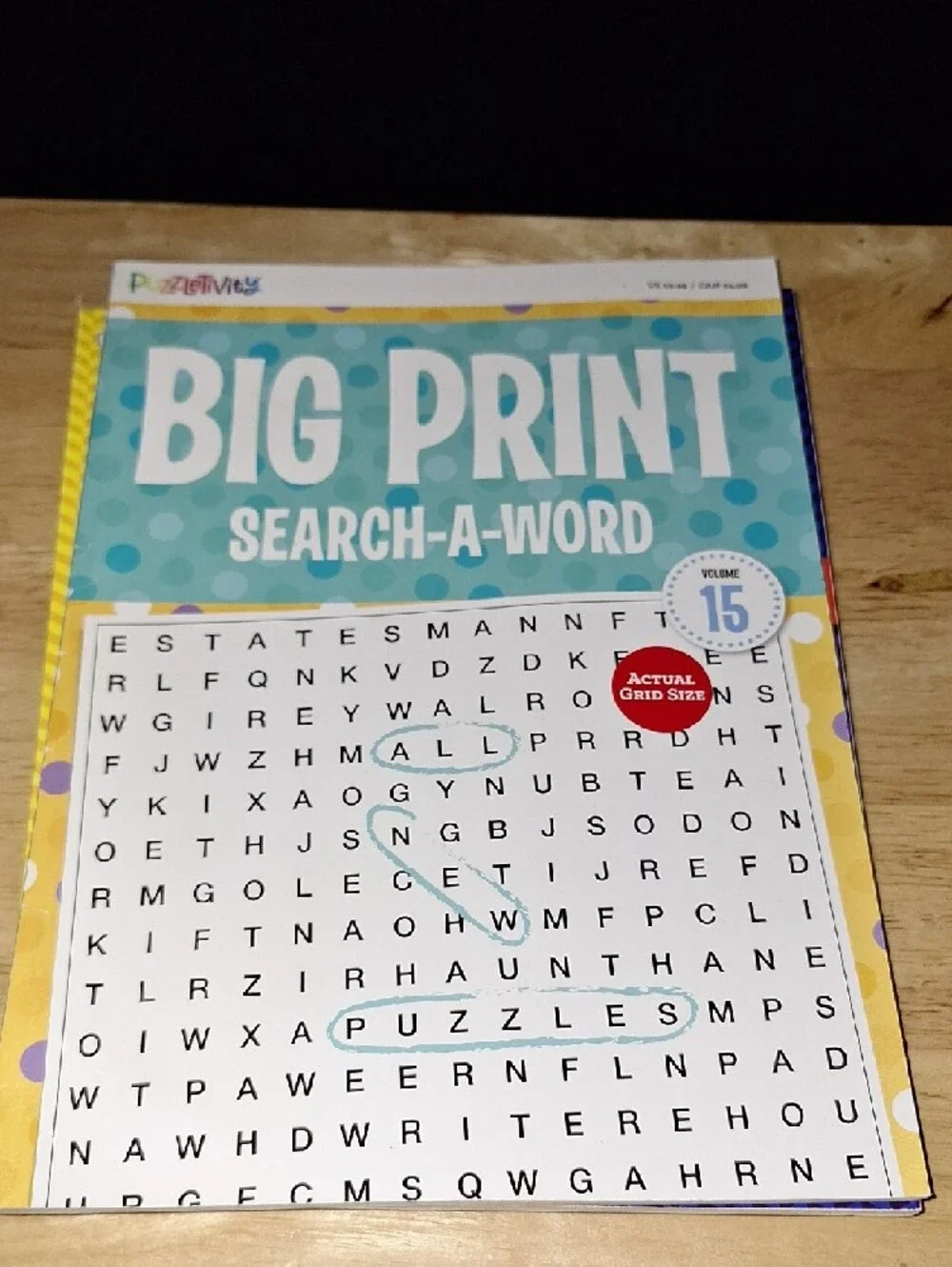 4 Large Print Word Hunt Puzzle Books NEW